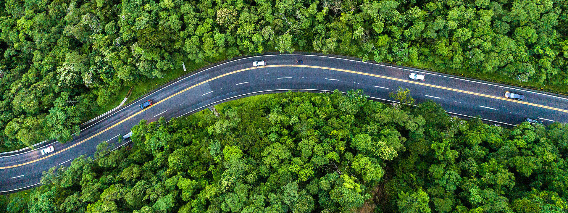 © Kapsch TrafficCom Straße durch einen Wald